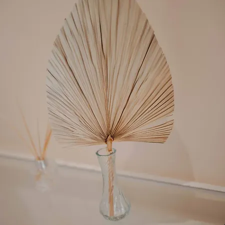 Daire Seashell *