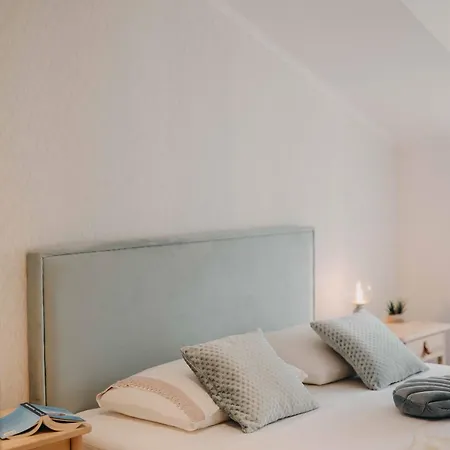 Apartment Seashell