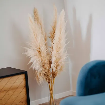 Seashell Apartment Split