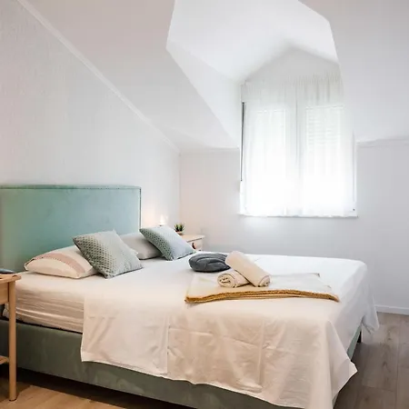 Seashell Daire *