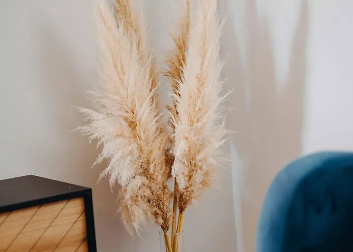 Seashell 아파트 스플리트